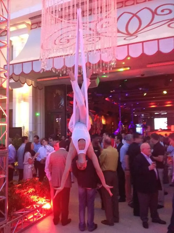 Aerial silks, ballroom gala